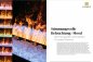 Preview: Electric Fireplace e-MatriX Mood 800/500 RD