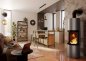 Preview: Spartherm Kaminofen Passo S