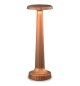 Preview: NEOZ Poppy Cordless Table Lamp